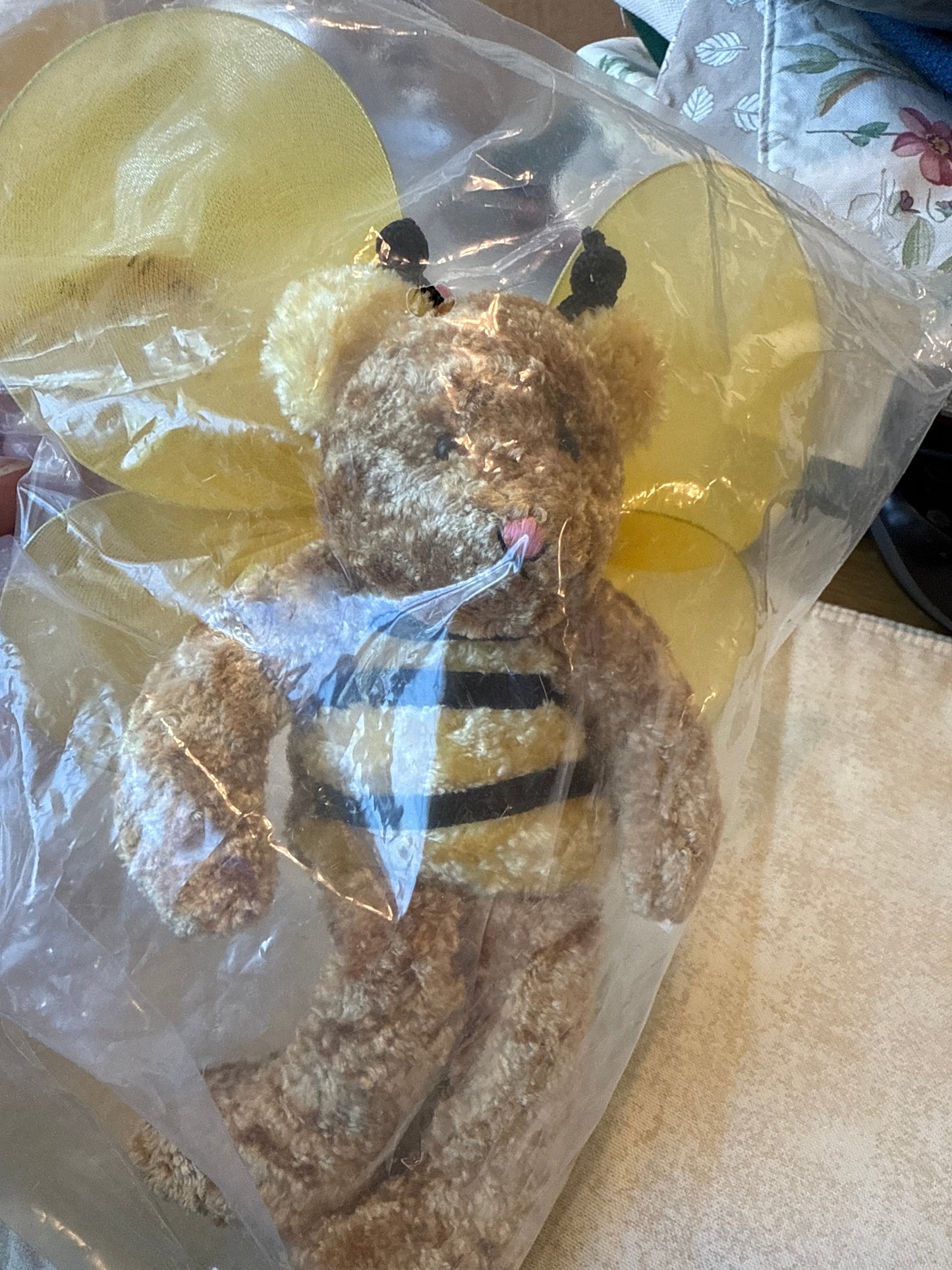 Homestead bee bear