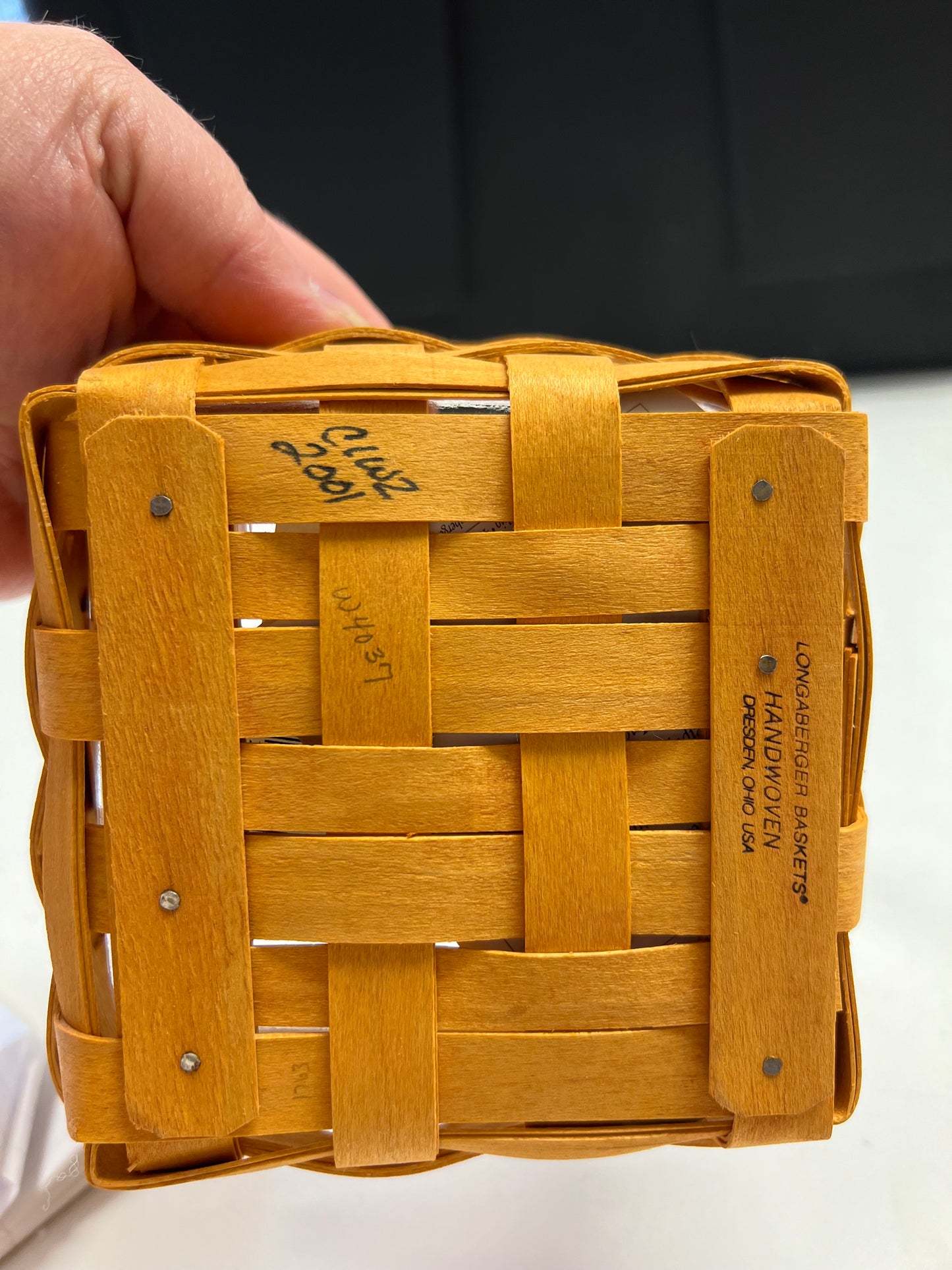 Longaberger tarragon basket with protector