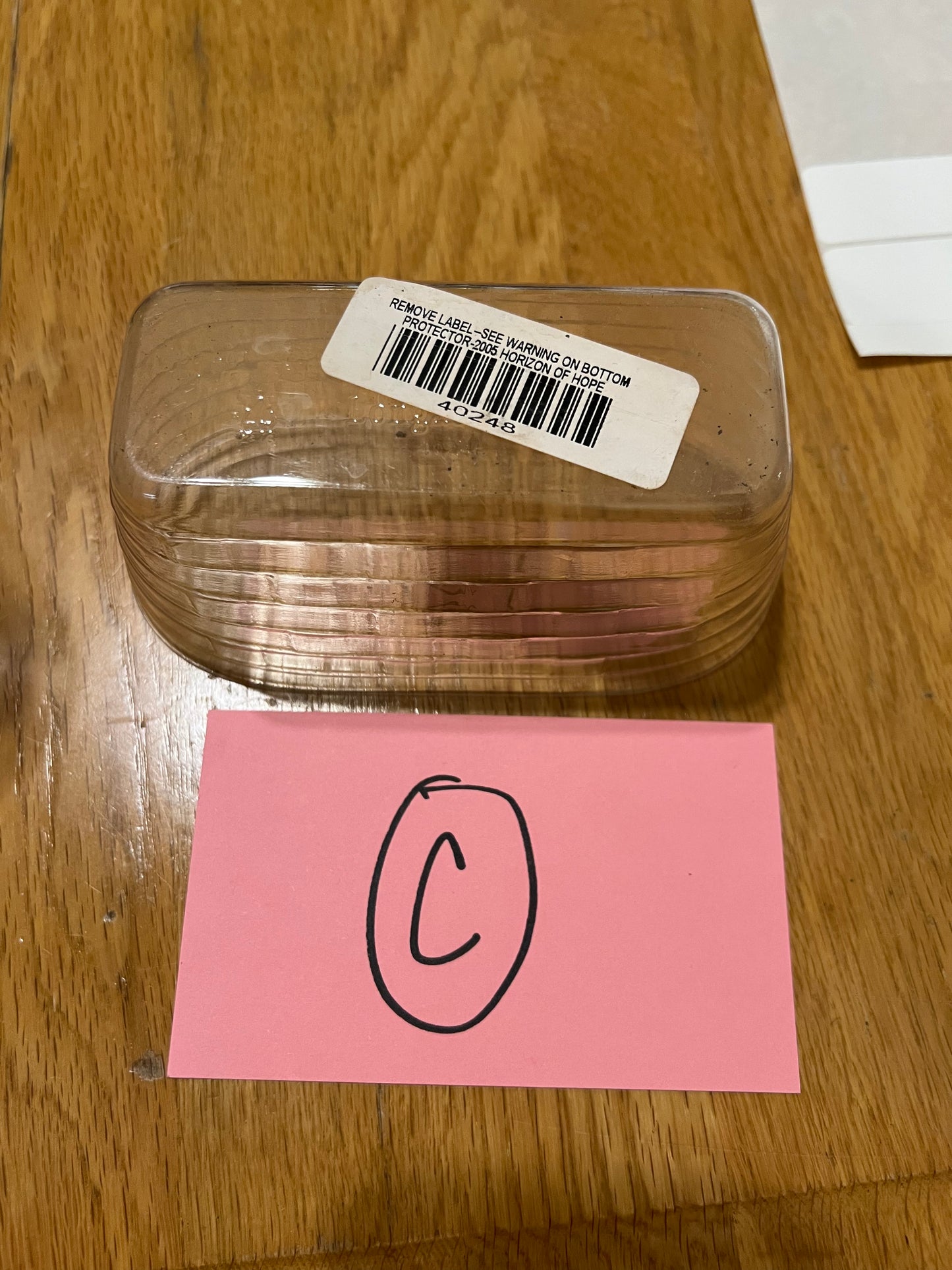 Longaberger 2005 Horizon of Hope Protector