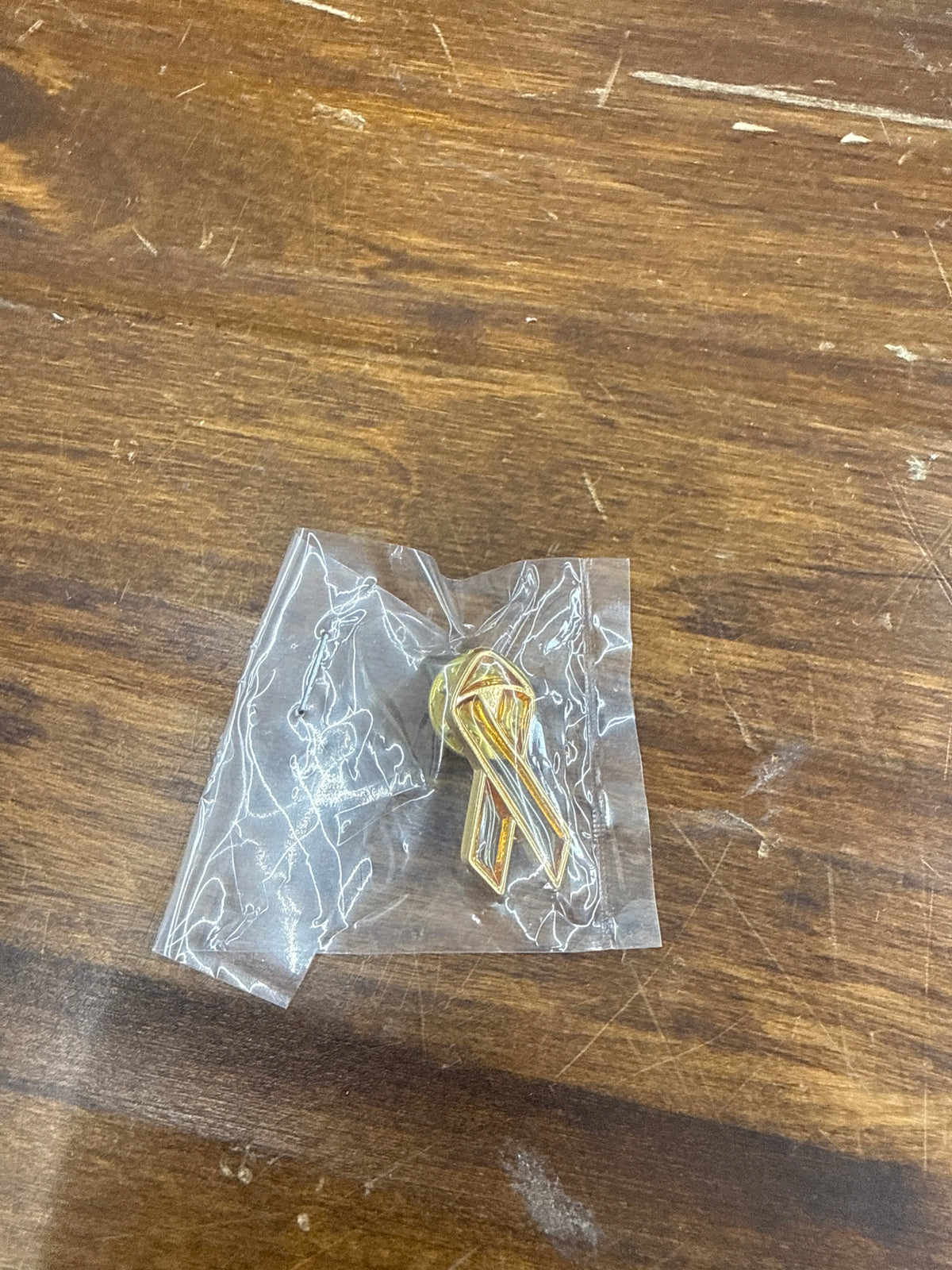 Homestead horizon of hope pin