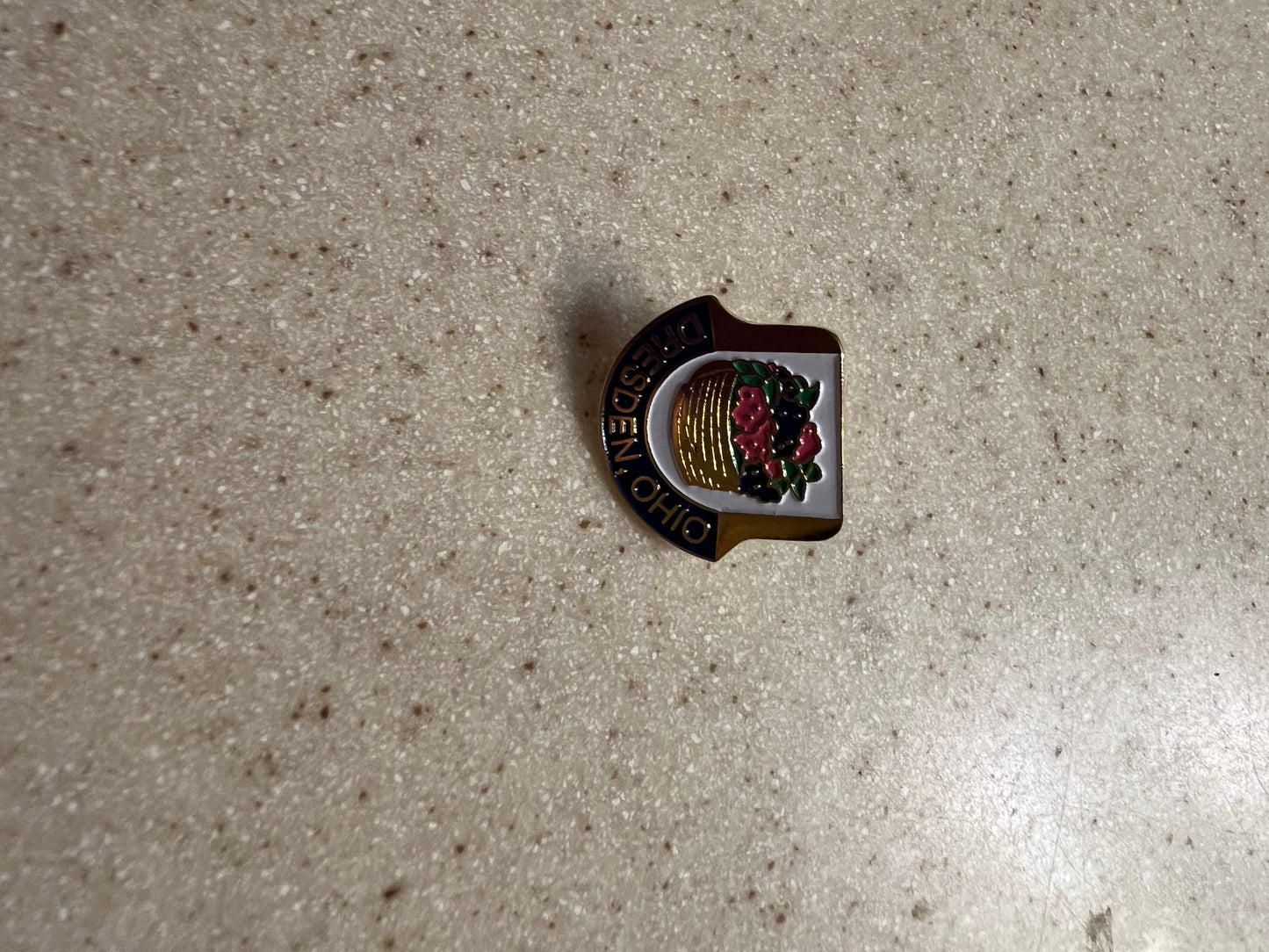 Dresden, Ohio pin