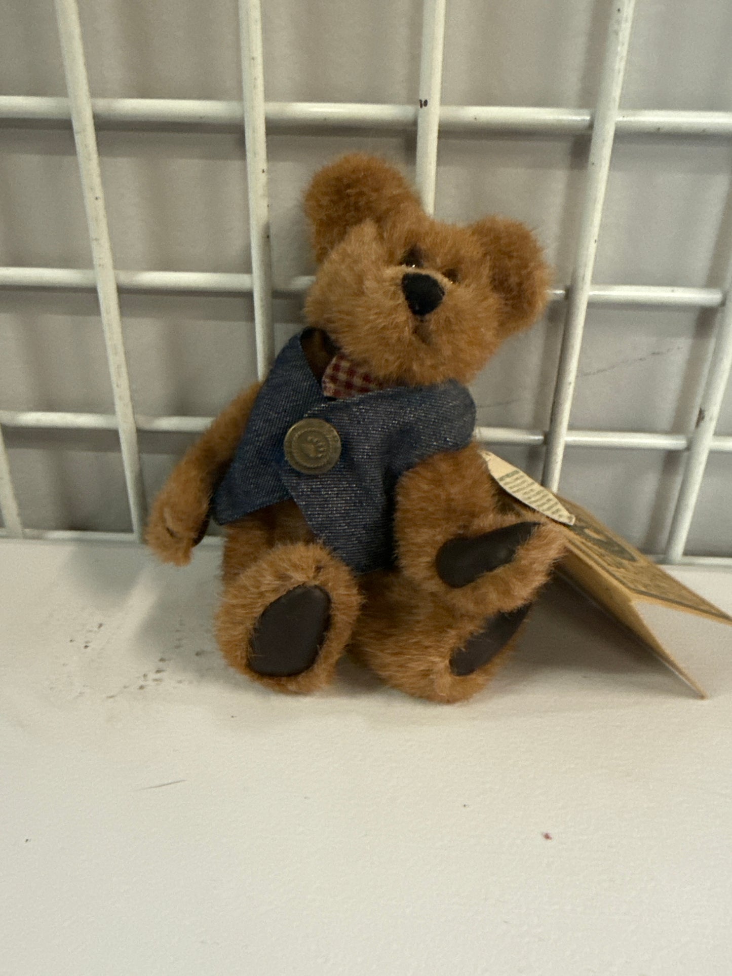 Boyd’s bear