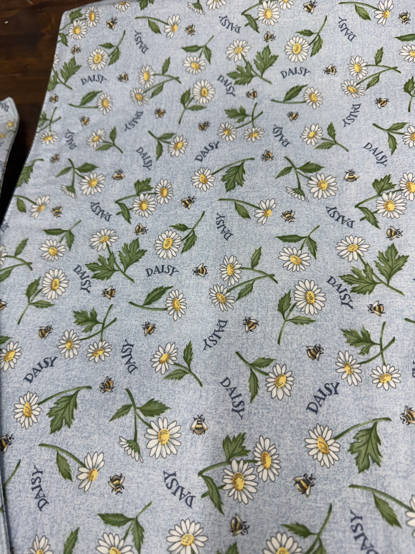 Longaberger set of 2 placemats in daisy