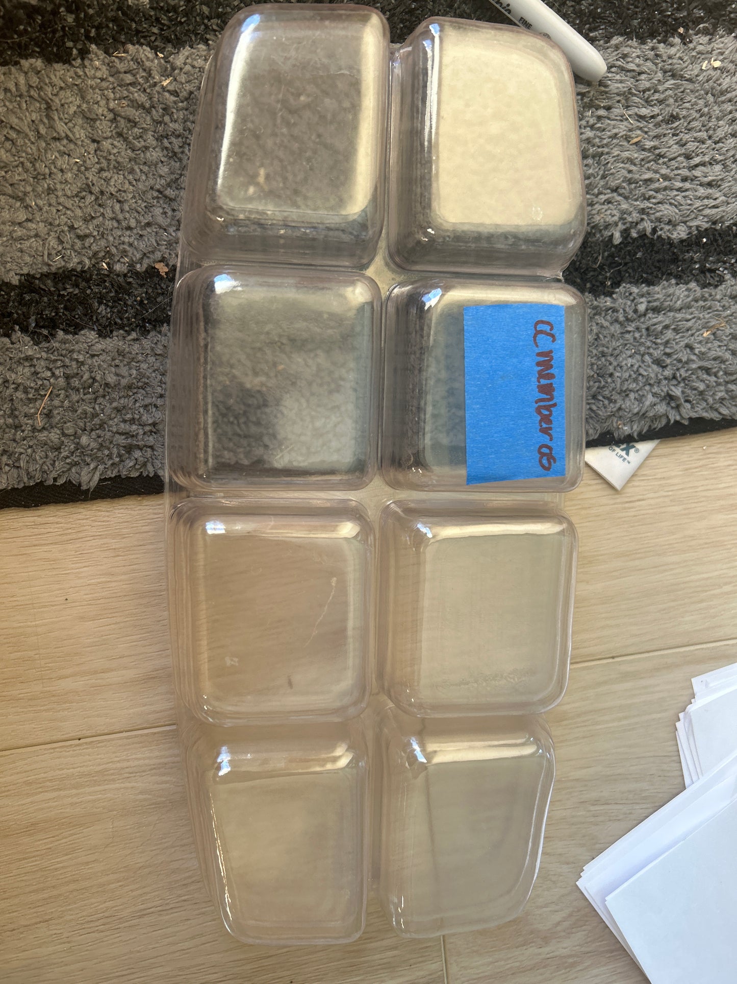 Longaberger collectors club member 2005 protector - purple