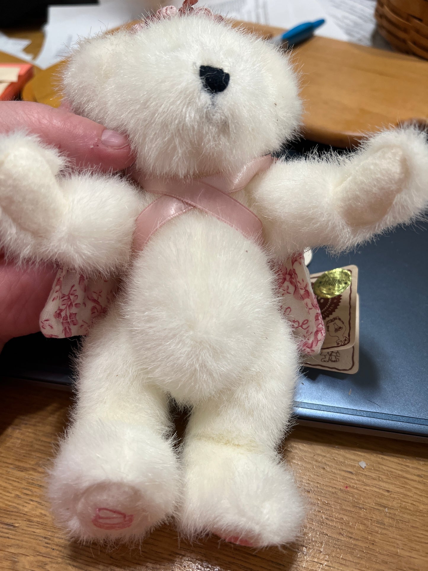 Boys bear horizon of hope