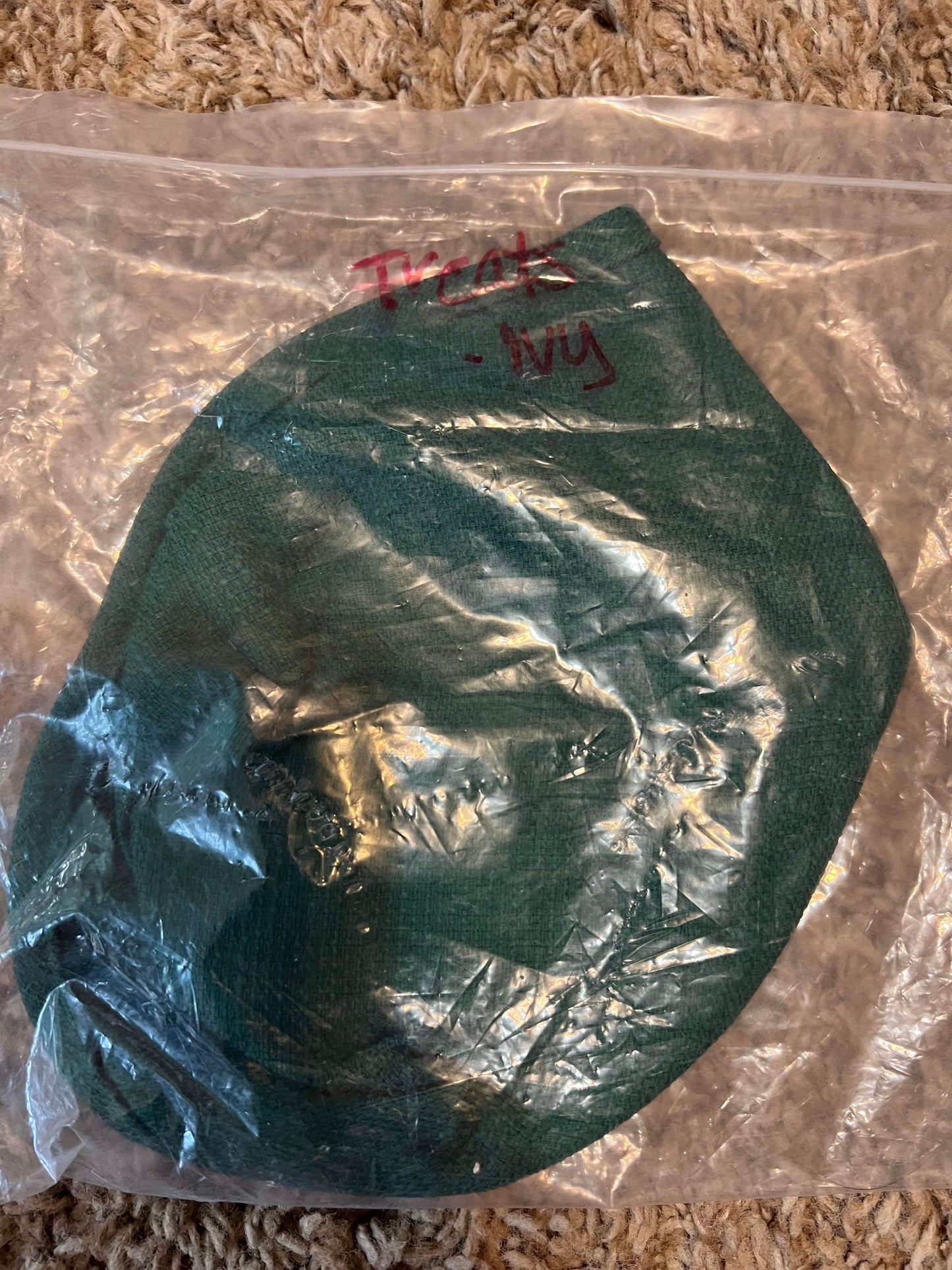 Longaberger Treats Liner in Ivy