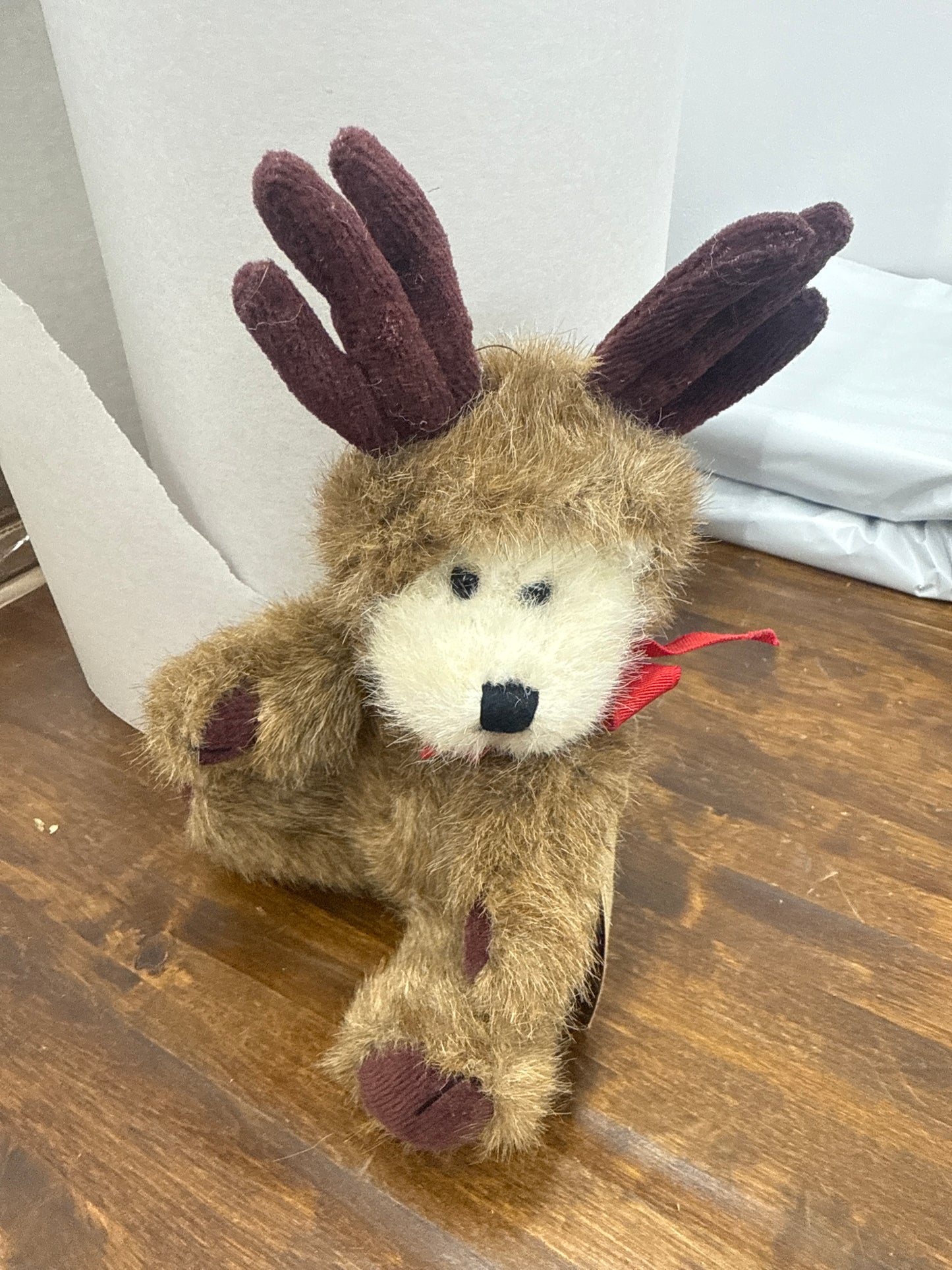Boyd’s bear