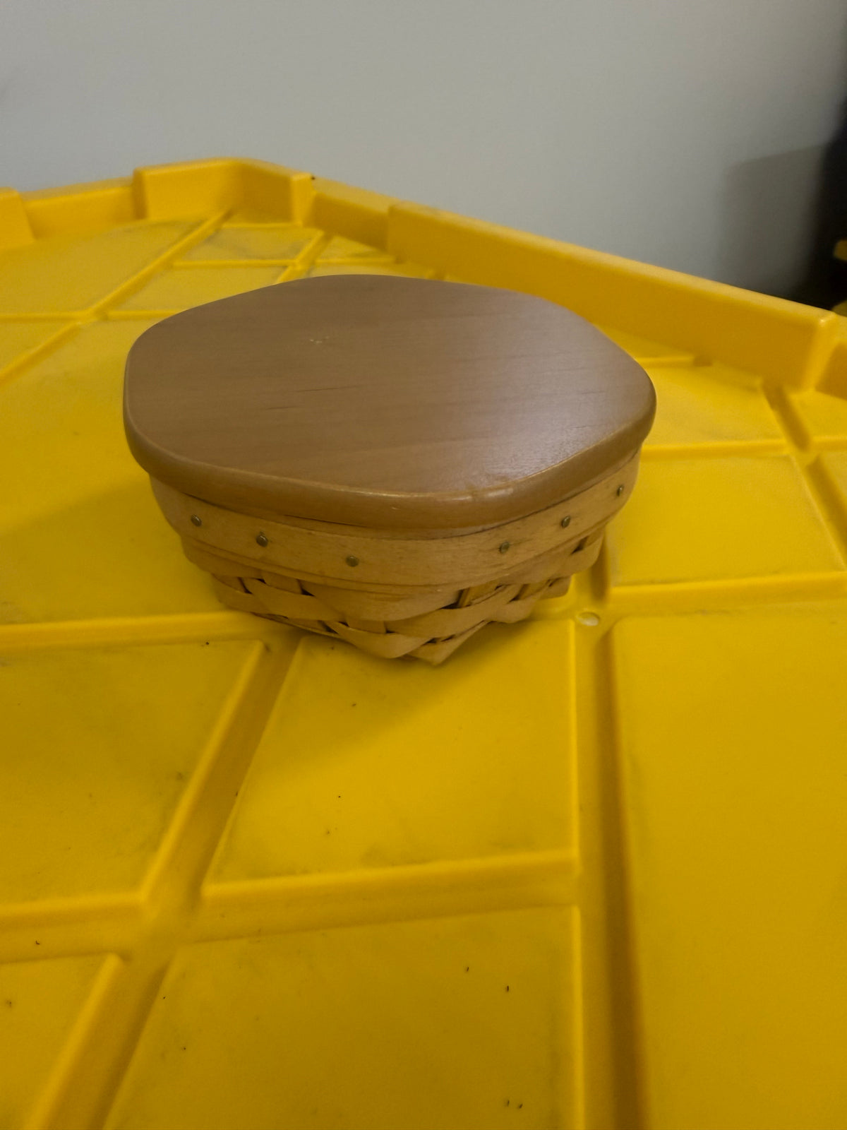 Longaberger sage basket with lid and protector