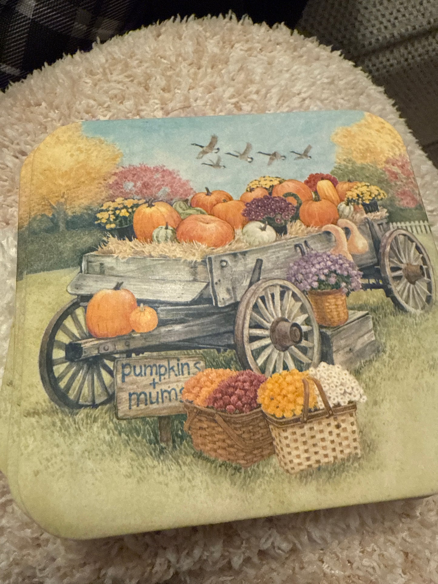 Longaberger fall coasters (set of 4)