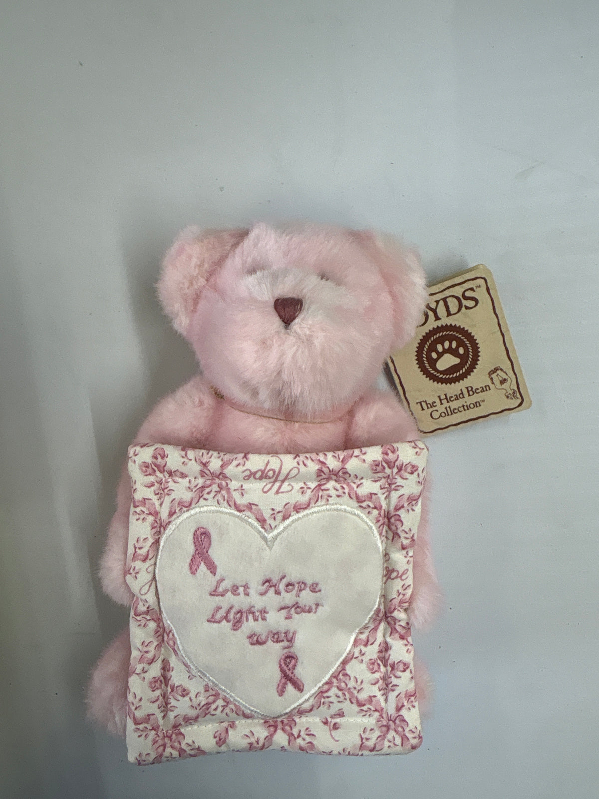 Longaberger Boyd’s Bear “Dawn L Bearywell”