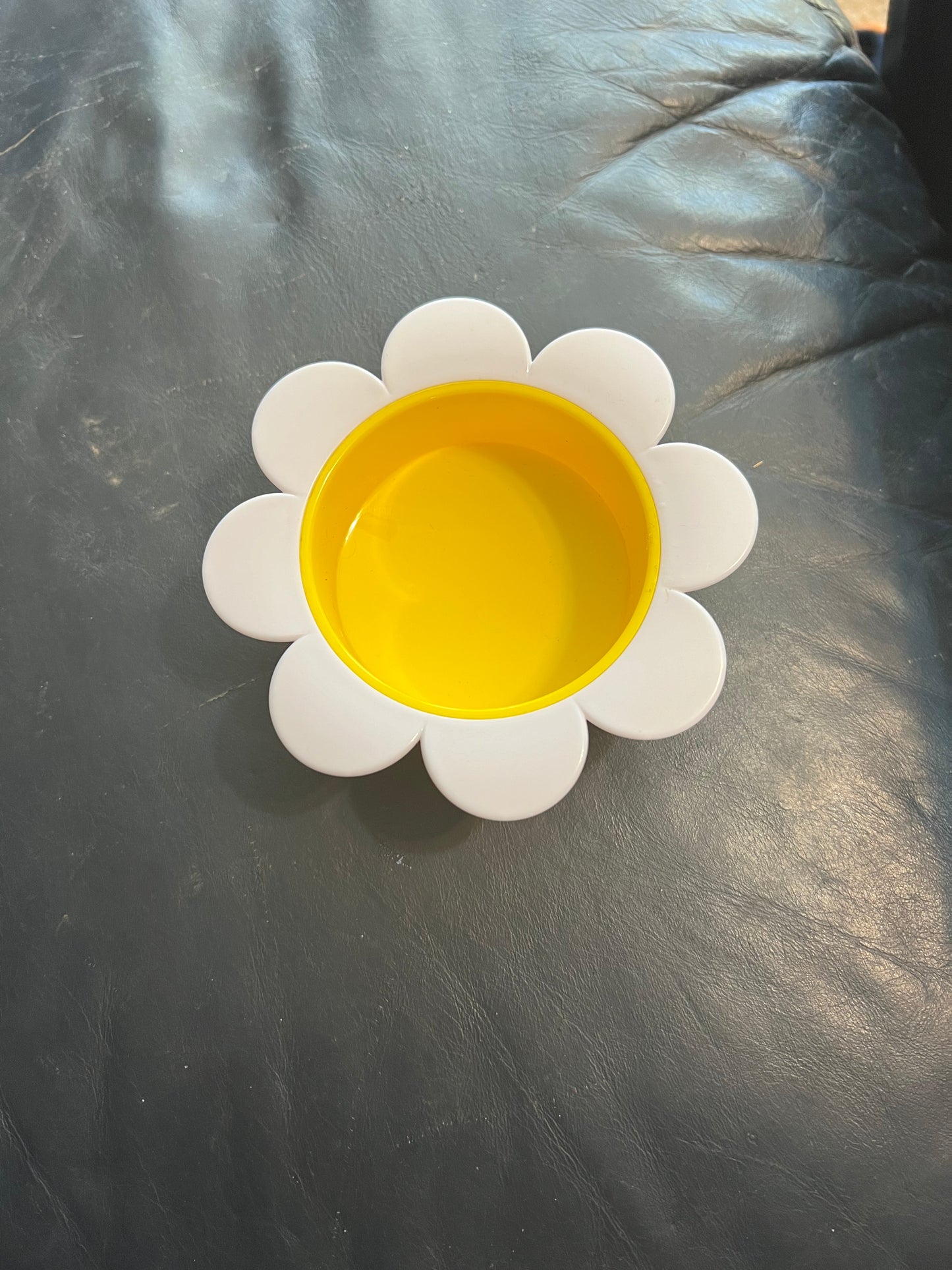 Homestead Daisy Coaster