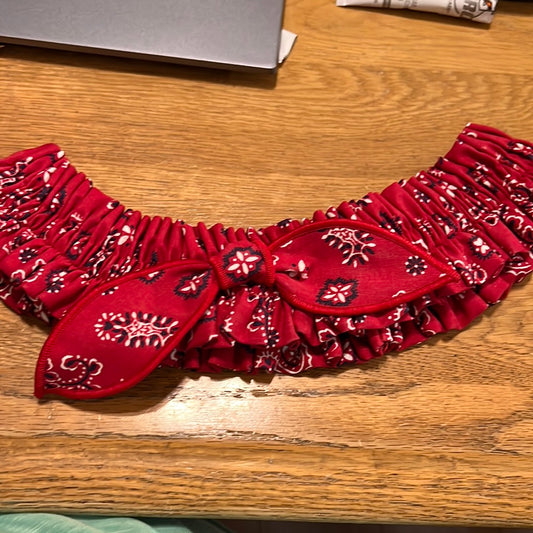 Longaberger medium garter in backyard bandana