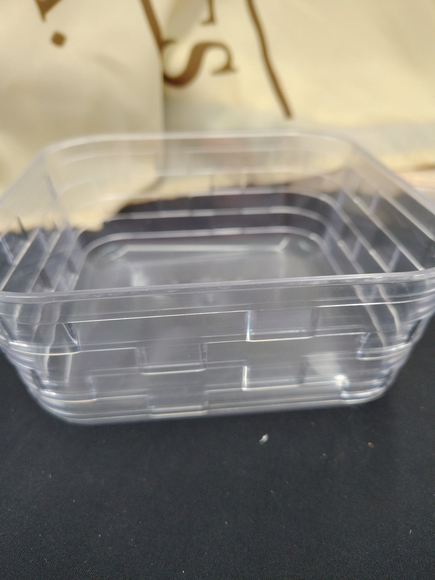 #40821 Longaberger hard medium berry protector