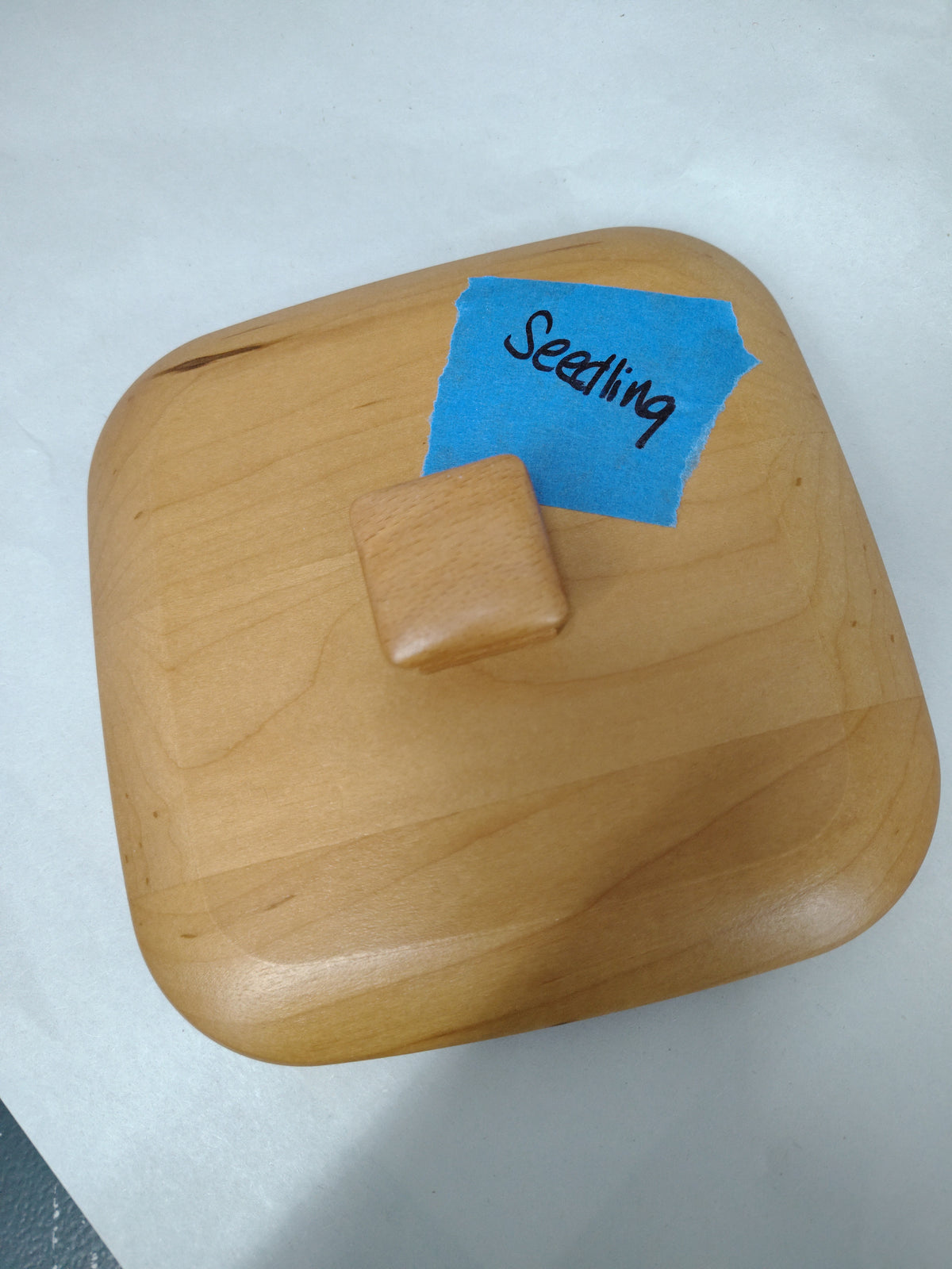 Longaberger Seedling lid